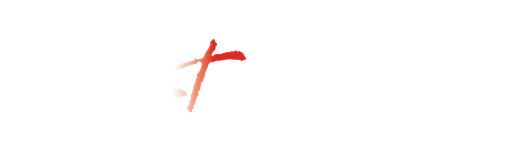 A red, cross-like mark on a white background.