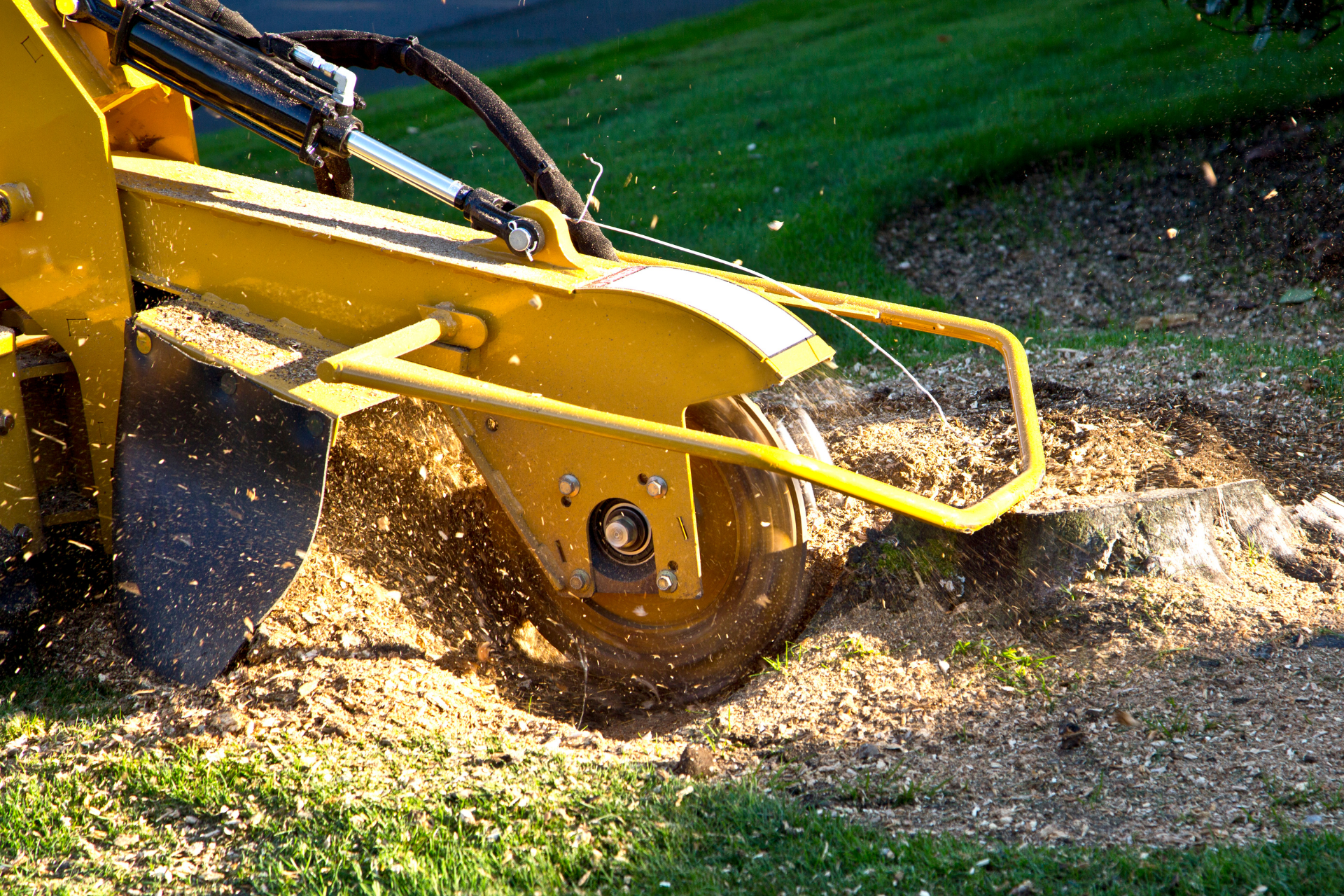 A yellow stump grinder cuts into a tree stump, spraying wood chips onto a lawn.