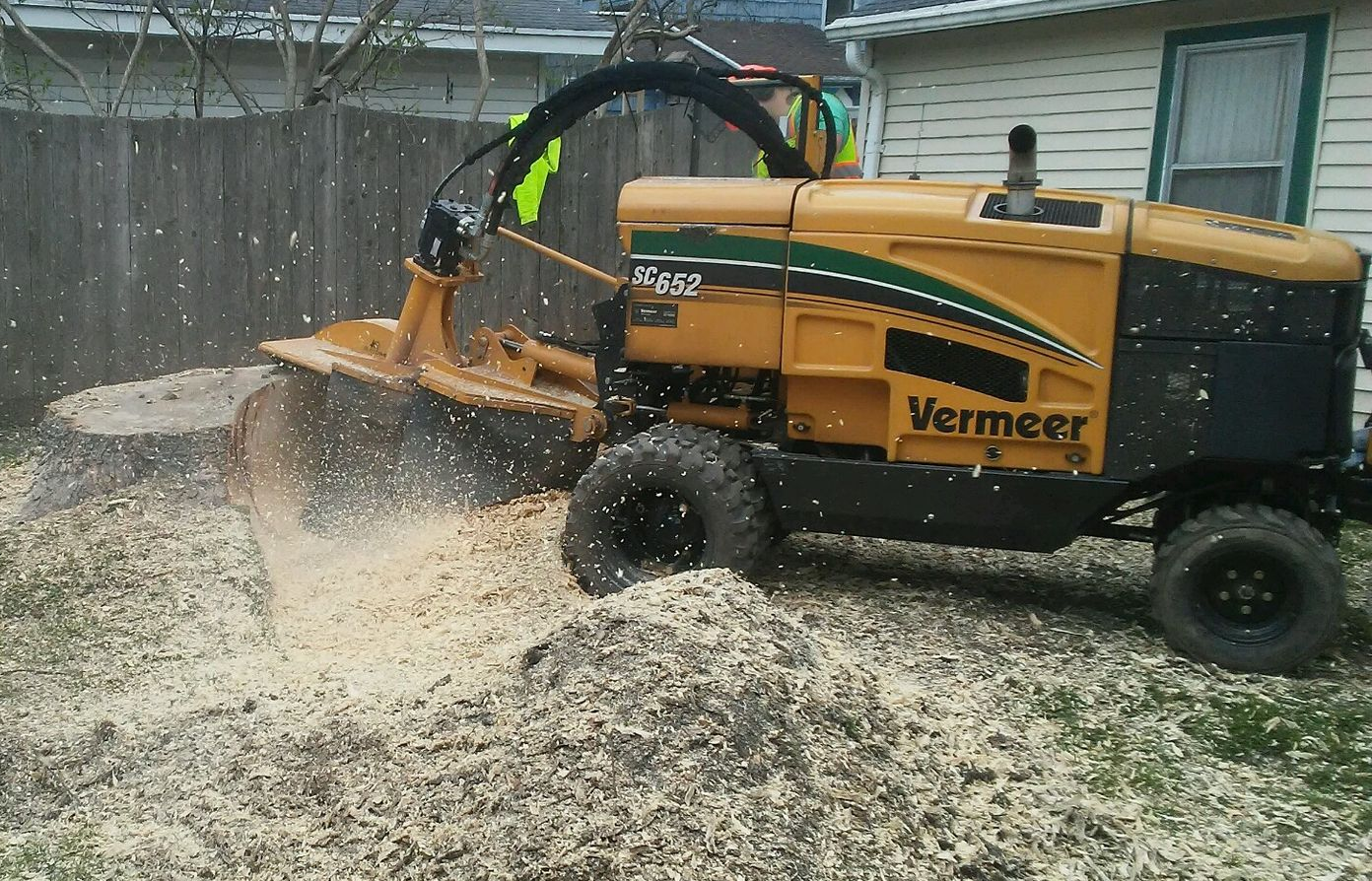 A yellow stump grinder cuts into a tree stump, creating wood chips on the ground outdoors.
