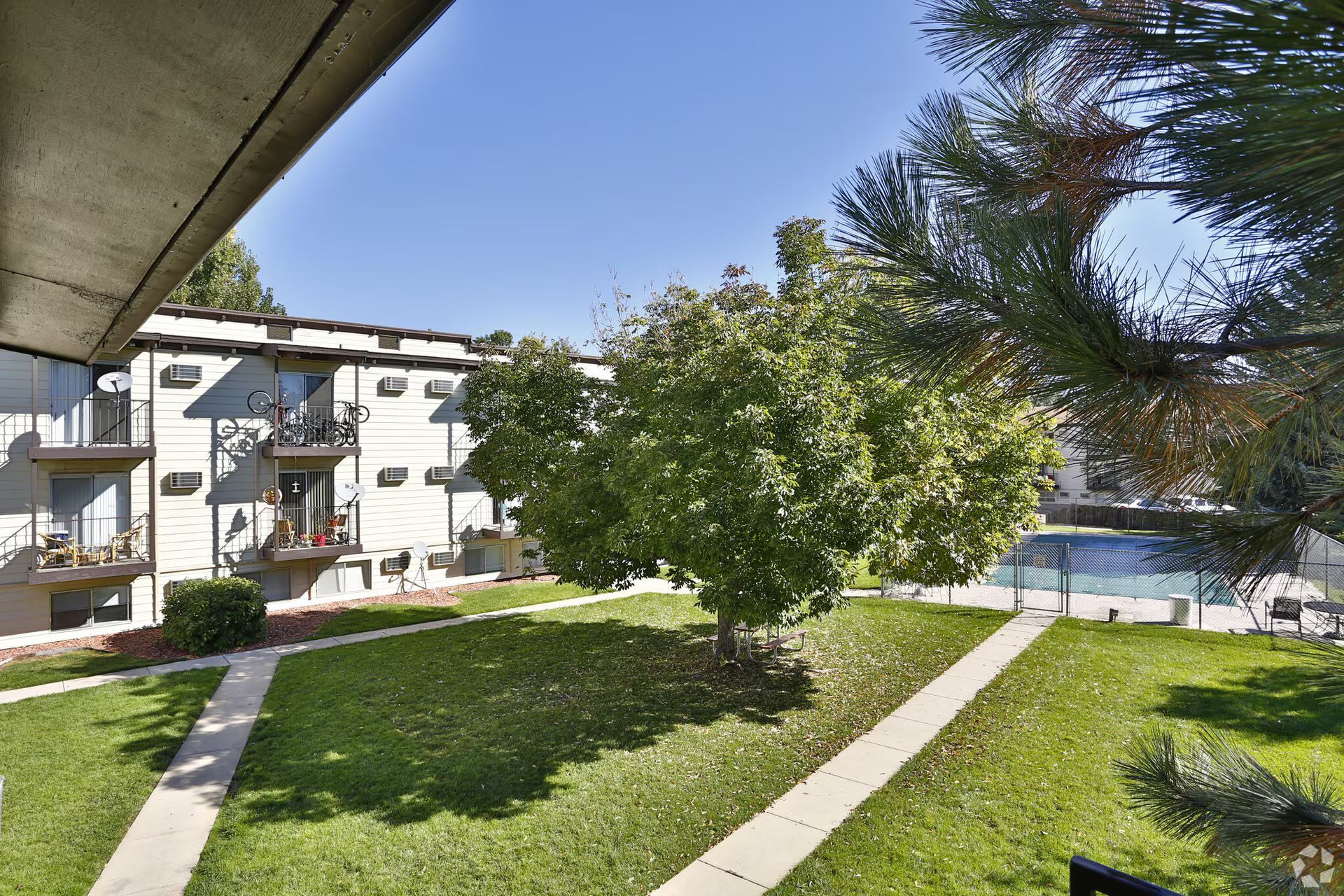 Apartment complex courtyard with green grass, tree, and small pool on a sunny day.