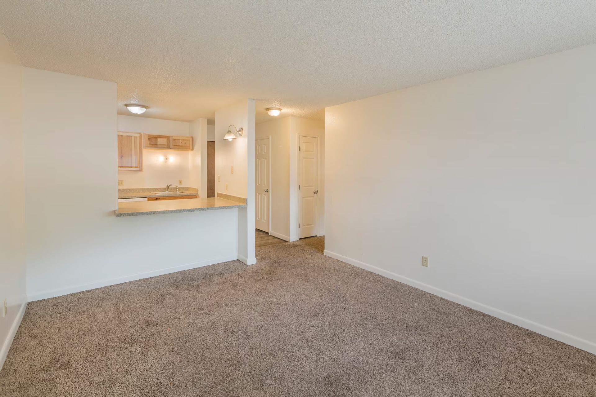 Empty apartment interior with beige carpet, white walls, and a view of the kitchen.