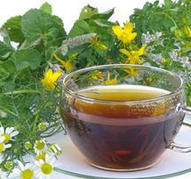 Taza de té de cristal con hojas verdes y flores amarillas al fondo.