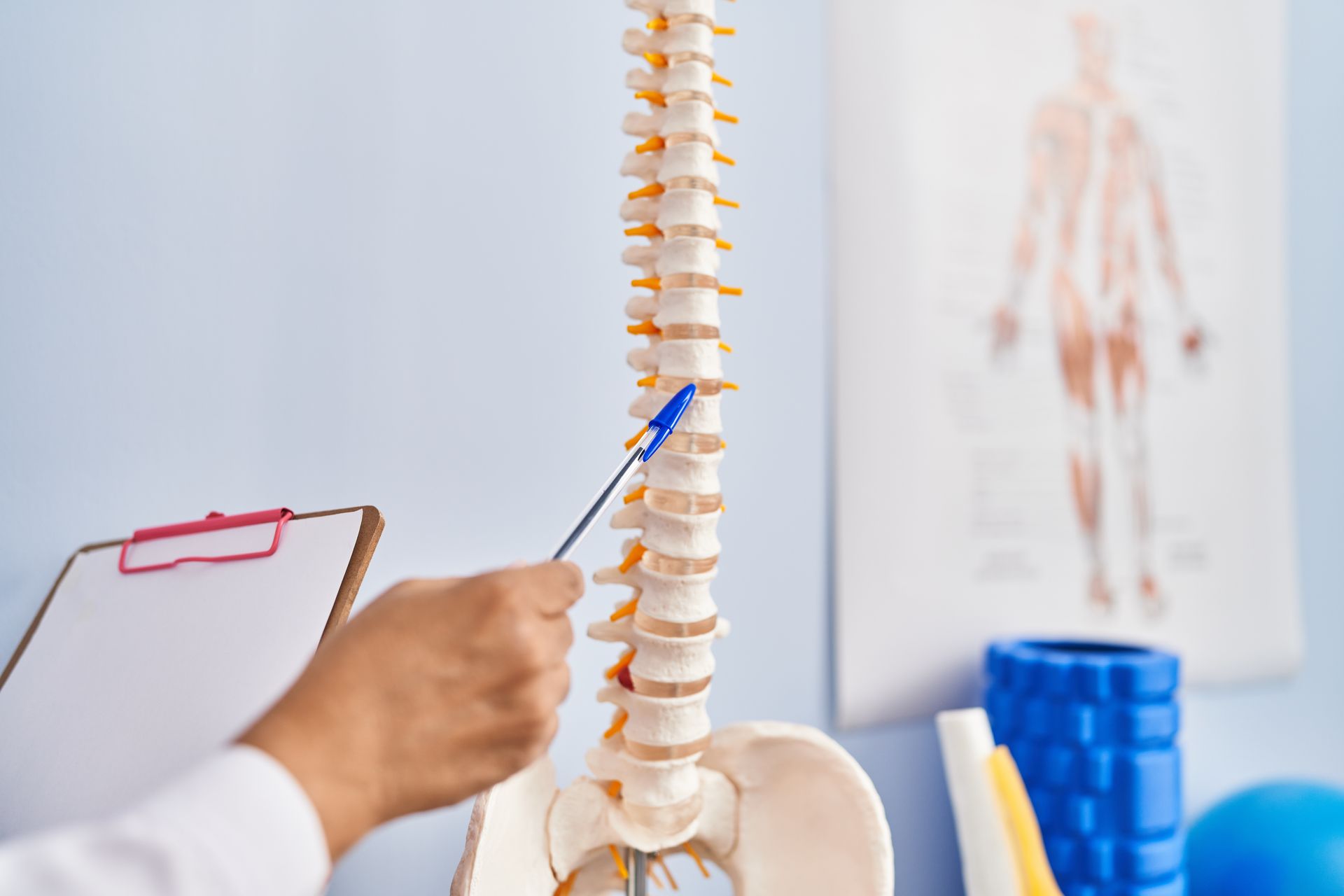 Person pointing to model spine with a pointer; clipboard, anatomy chart, and foam roller in background.
