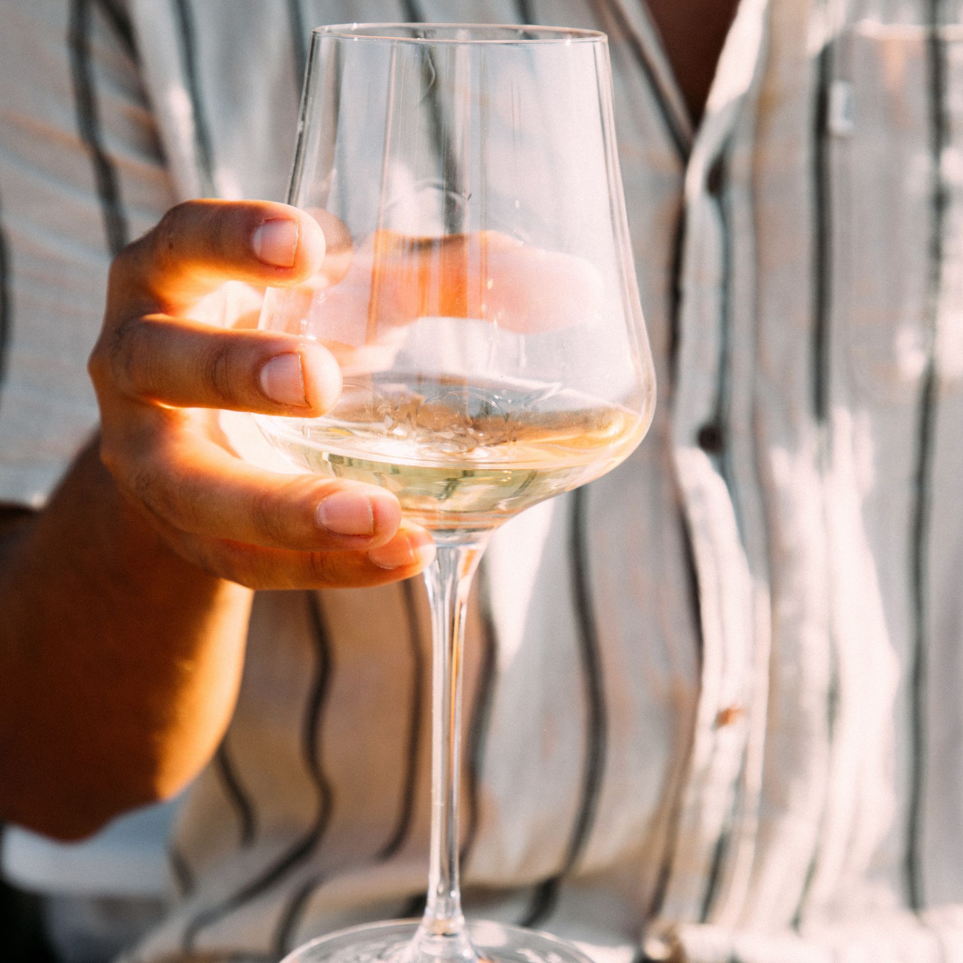 Wine Glass