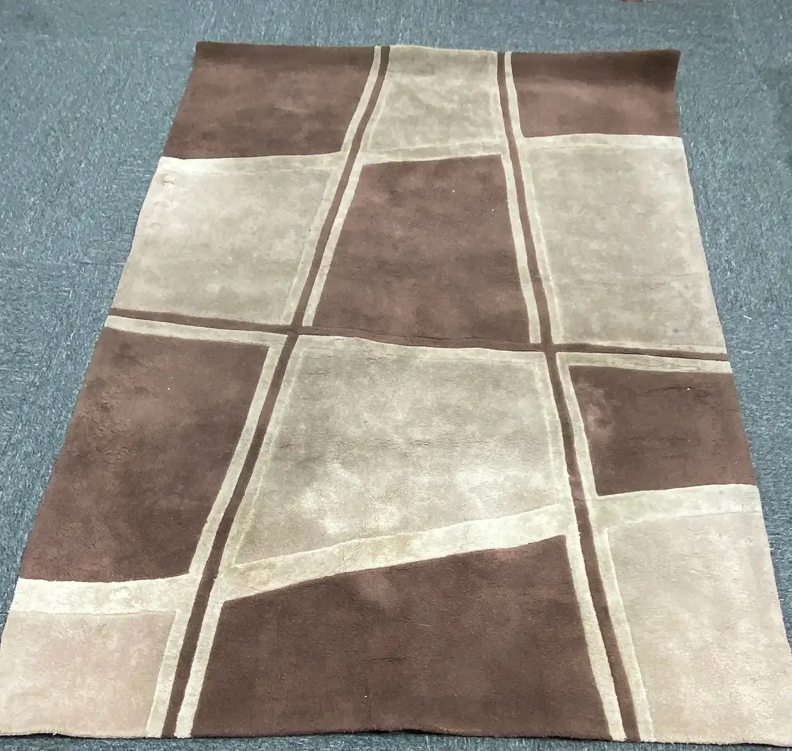 Rug Cleaning Before