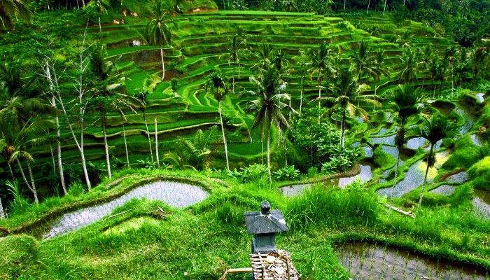 Pemandangan Pulau Bali untuk pakej bulan madu