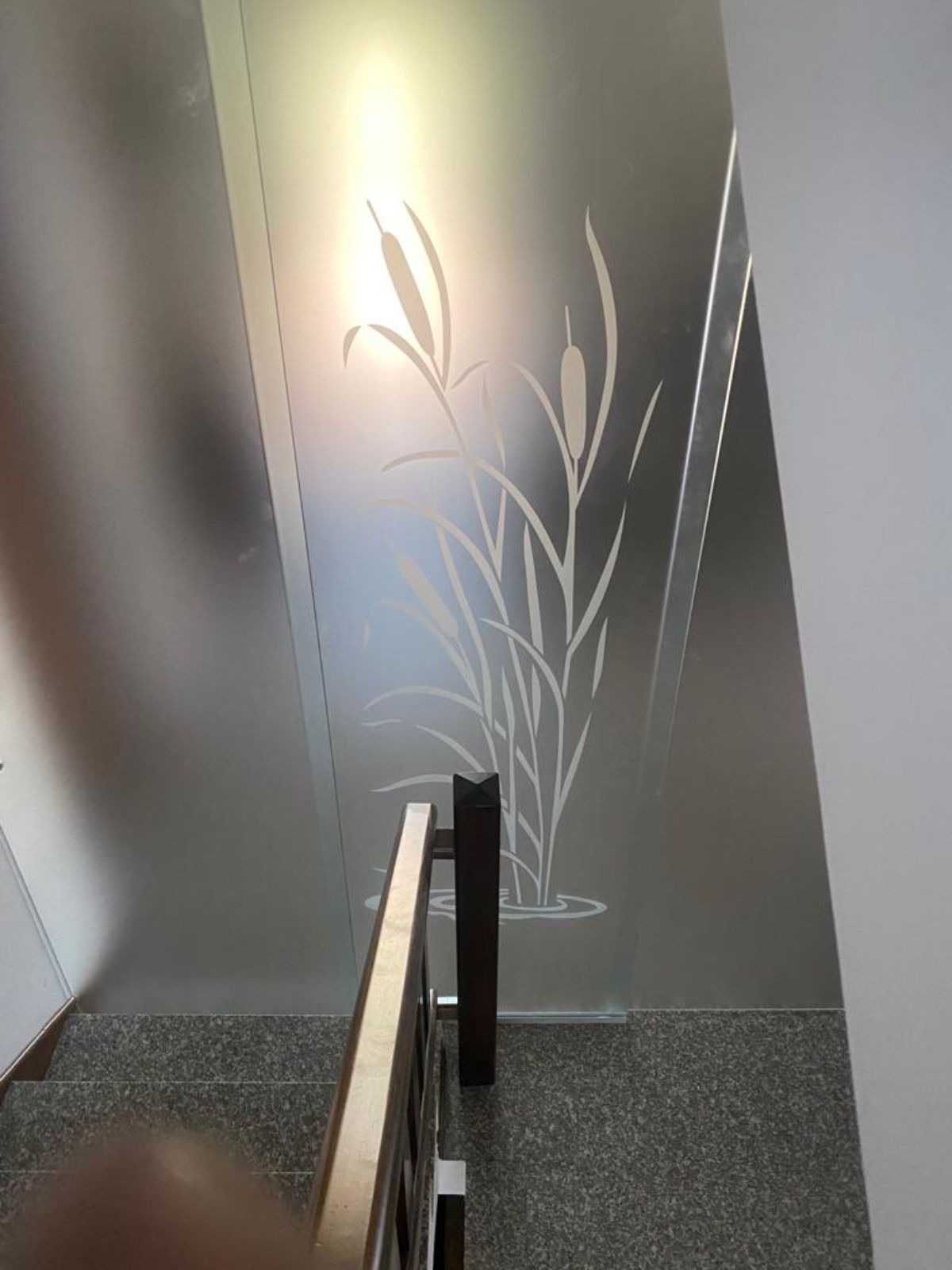Pannello in vetro satinato con un disegno di tifa incisa in bianco, montato accanto a una ringhiera in legno per scale.