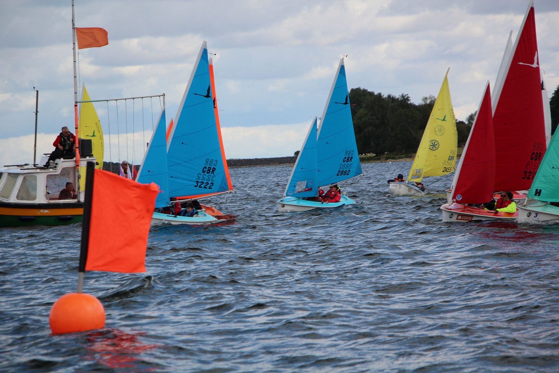 Hansa sail boats