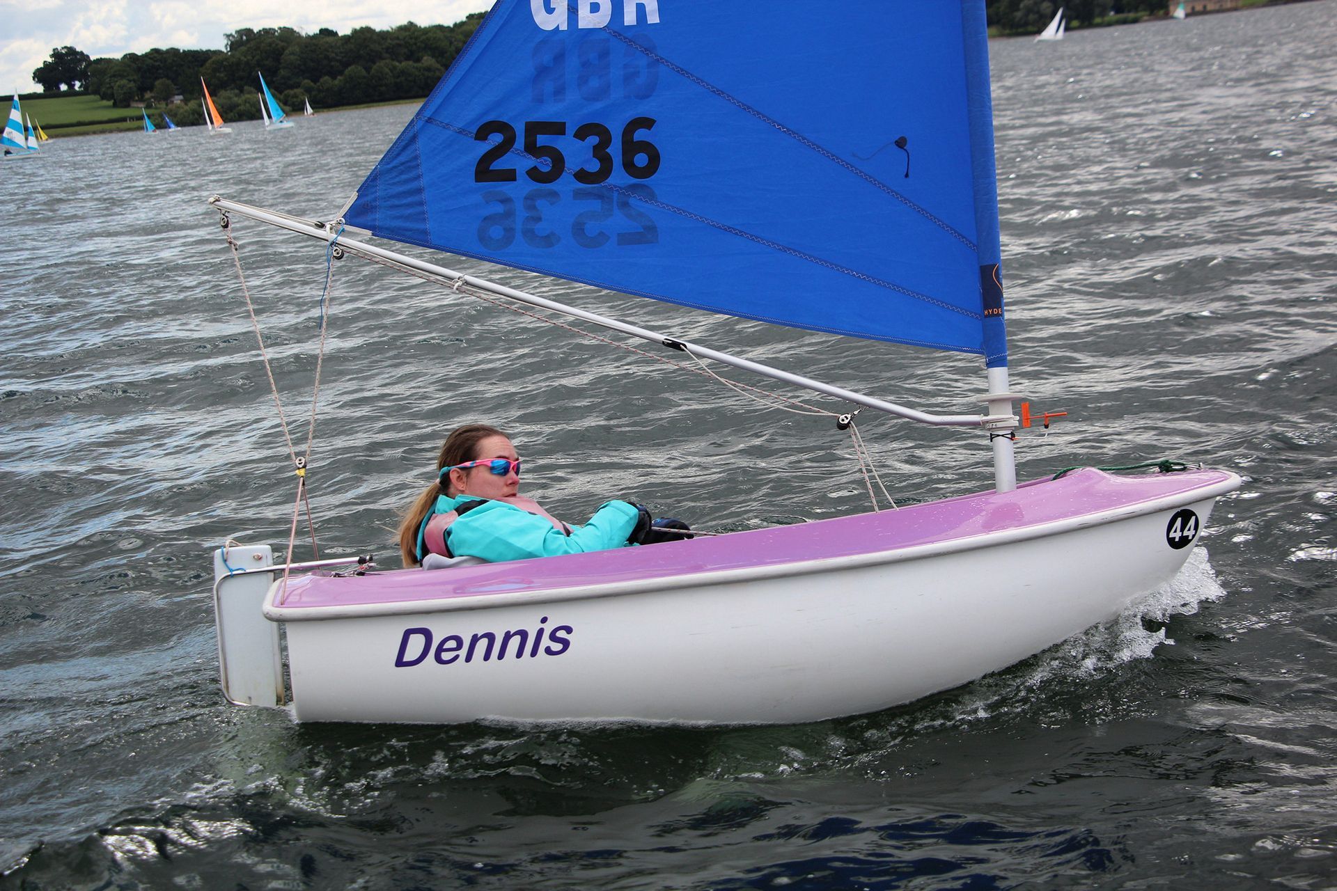 Hansa sail boats