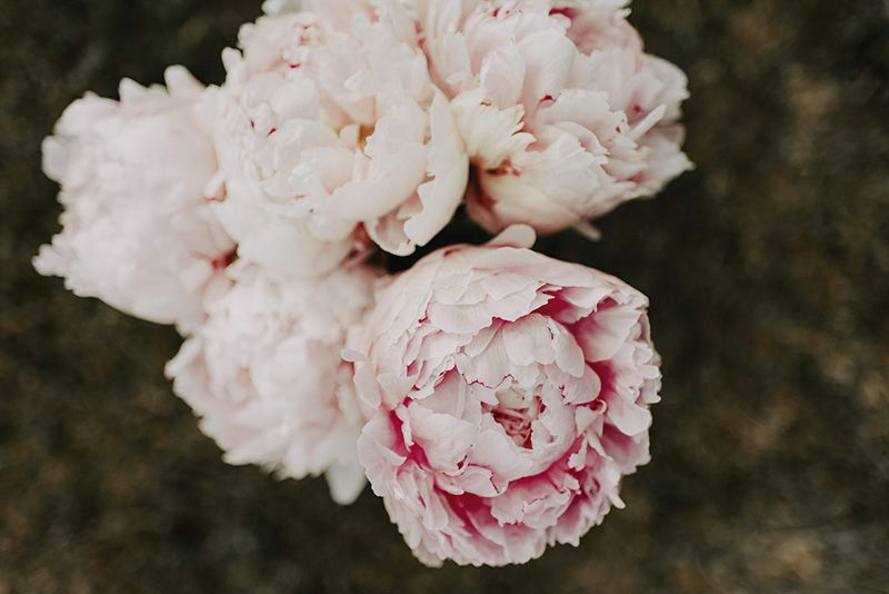 Send Flowers