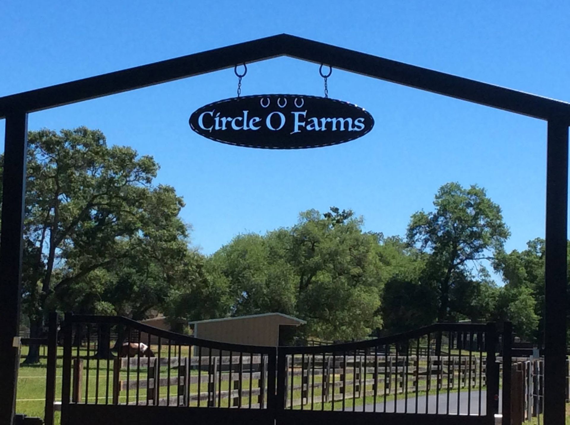 Entrance gate with a Circle O Farms sign against a blue sky, framed by trees and a black fence