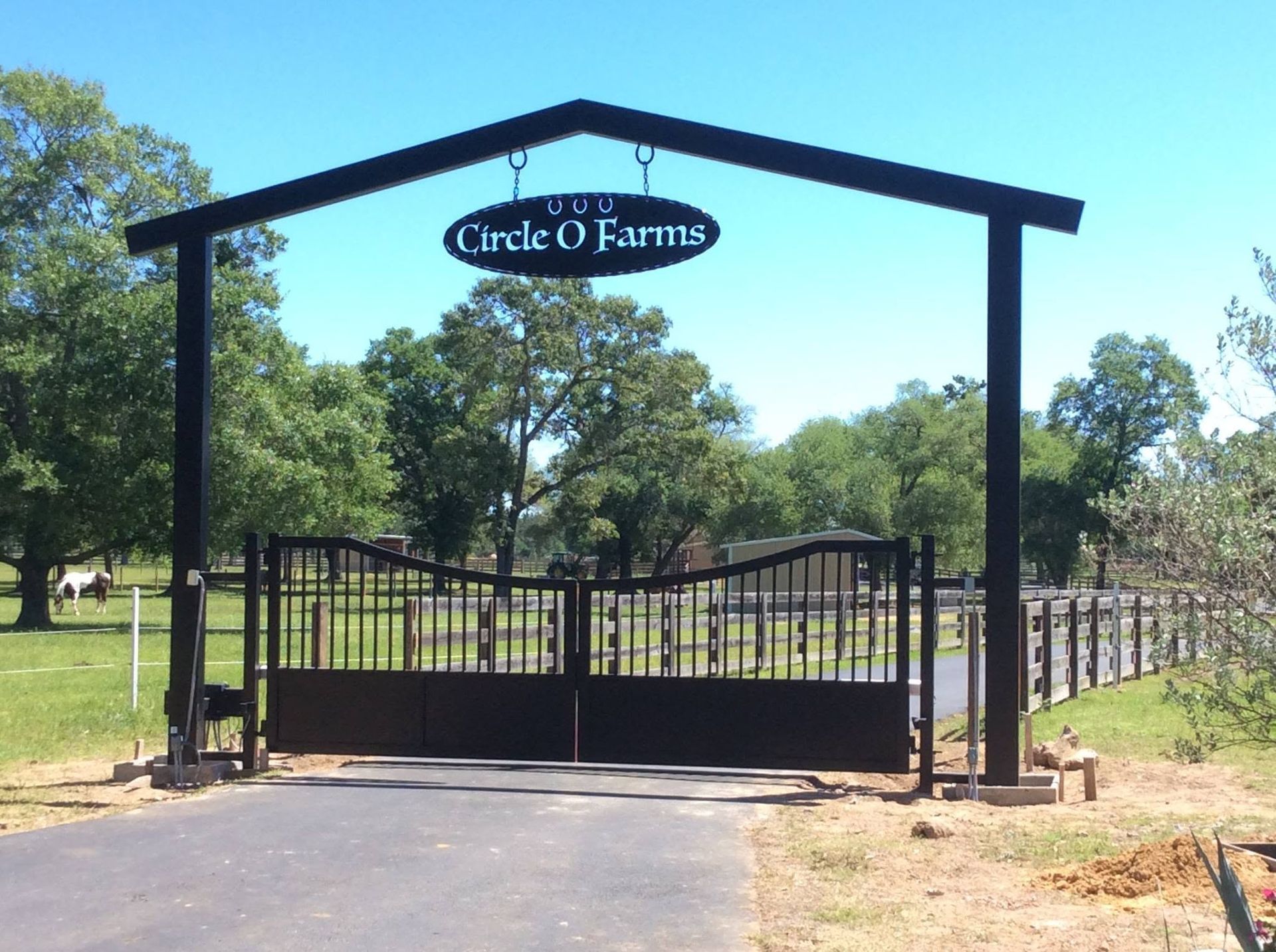 Gated entrance to Circle O Farms with black fence and open driveway under trees
