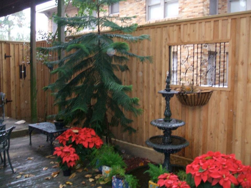 Wooden patio with a tiered fountain, red poinsettias, and a tall evergreen beside a fence.