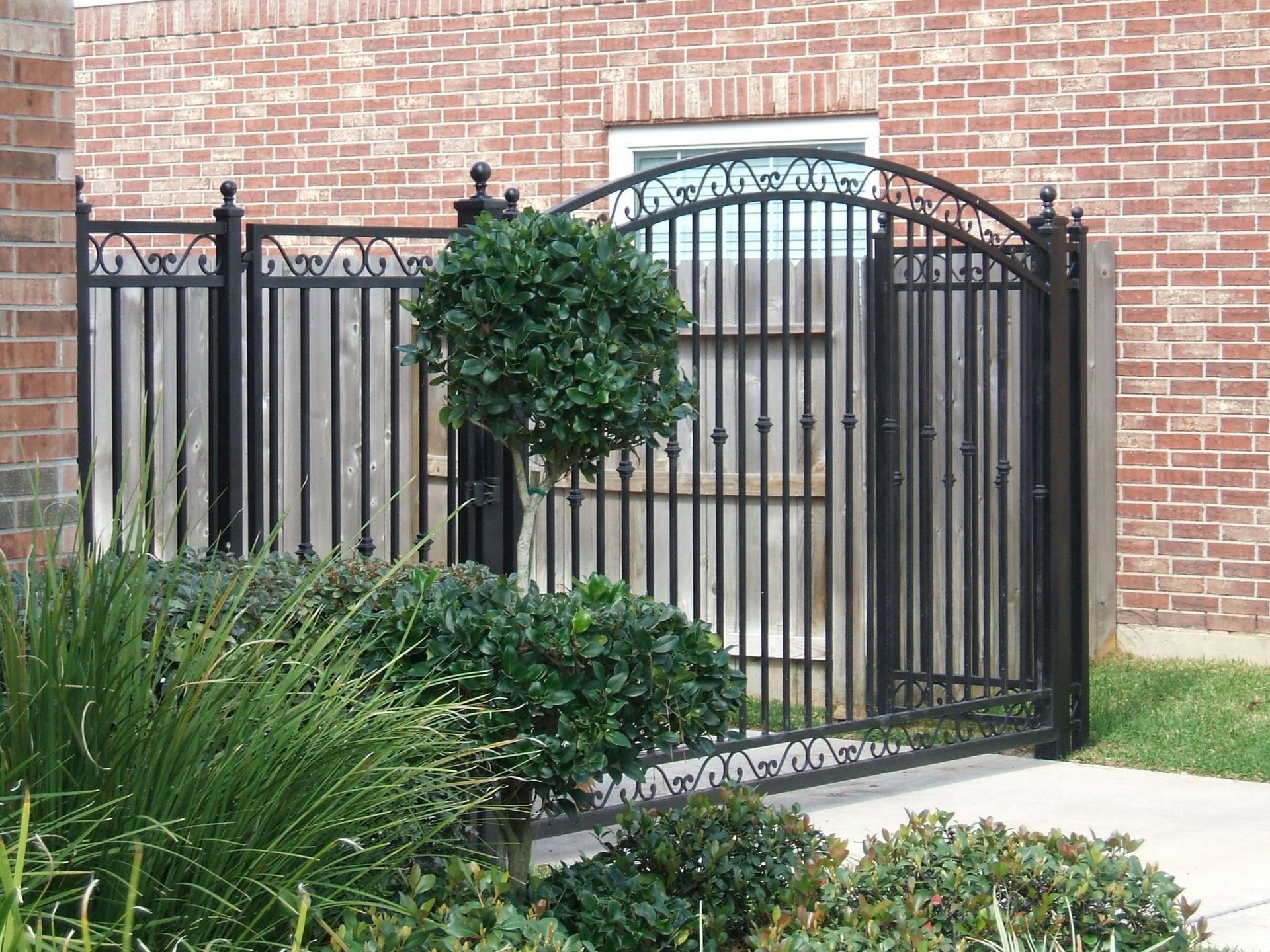 Black metal garden gate with arched top and greenery in front of a brick wall
