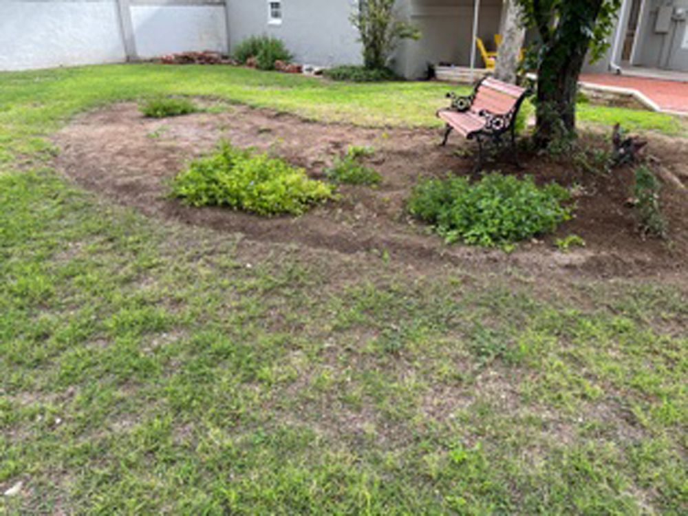 A small park bench sits under a tree in a landscaped garden bed within a grassy backyard.