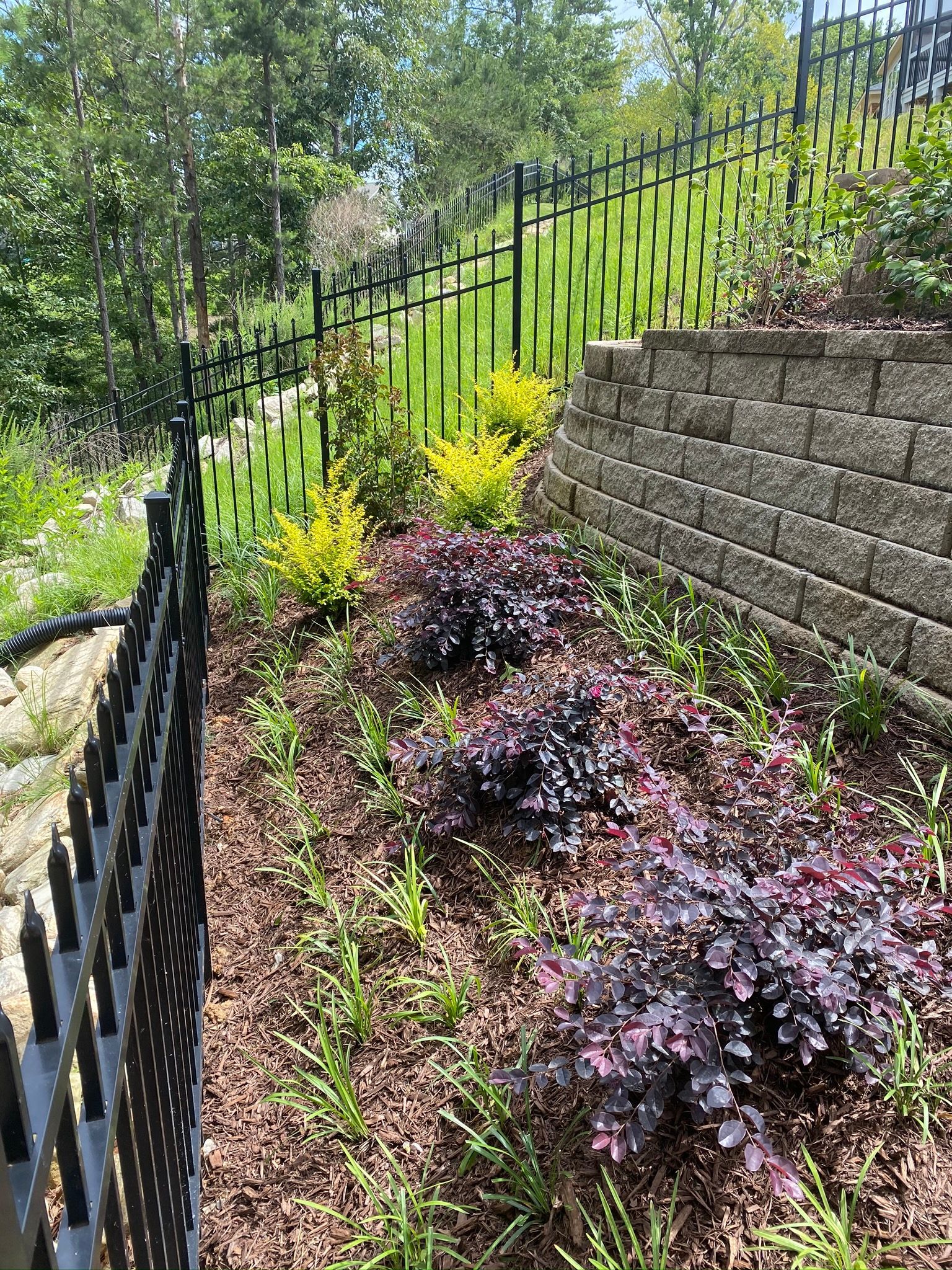 Plants and Flower — Flowery Branch, GA — All About Irrigation and Landscape Services Inc