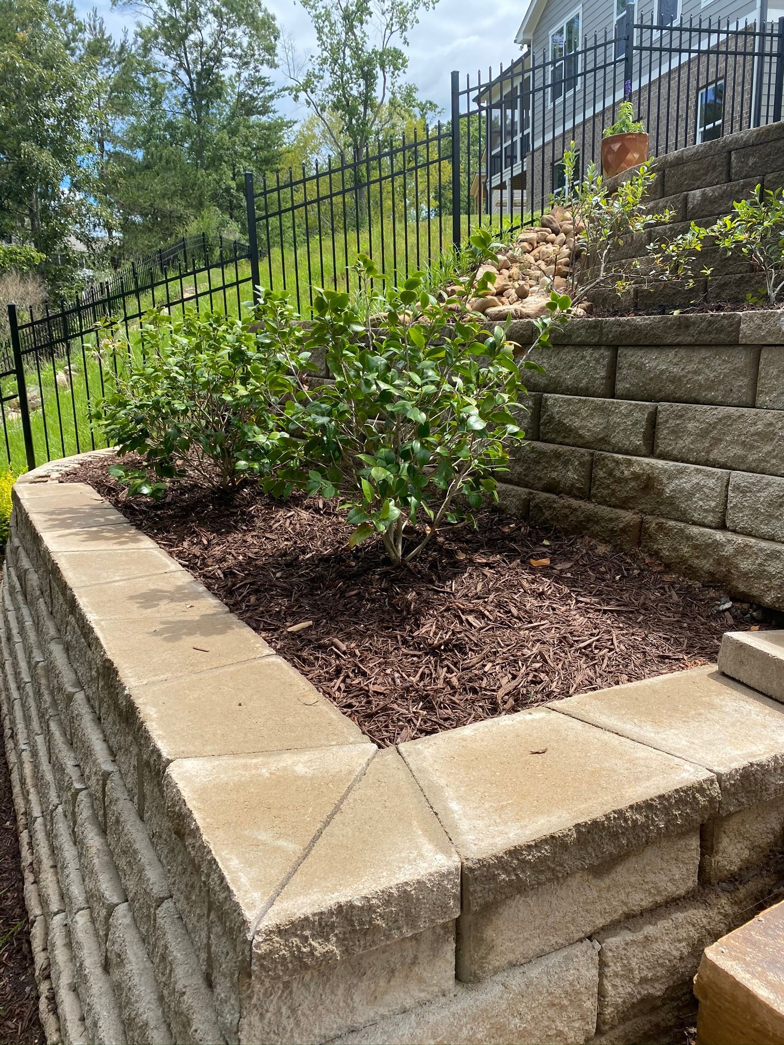 Plant Box with Plant — Flowery Branch, GA — All About Irrigation and Landscape Services Inc