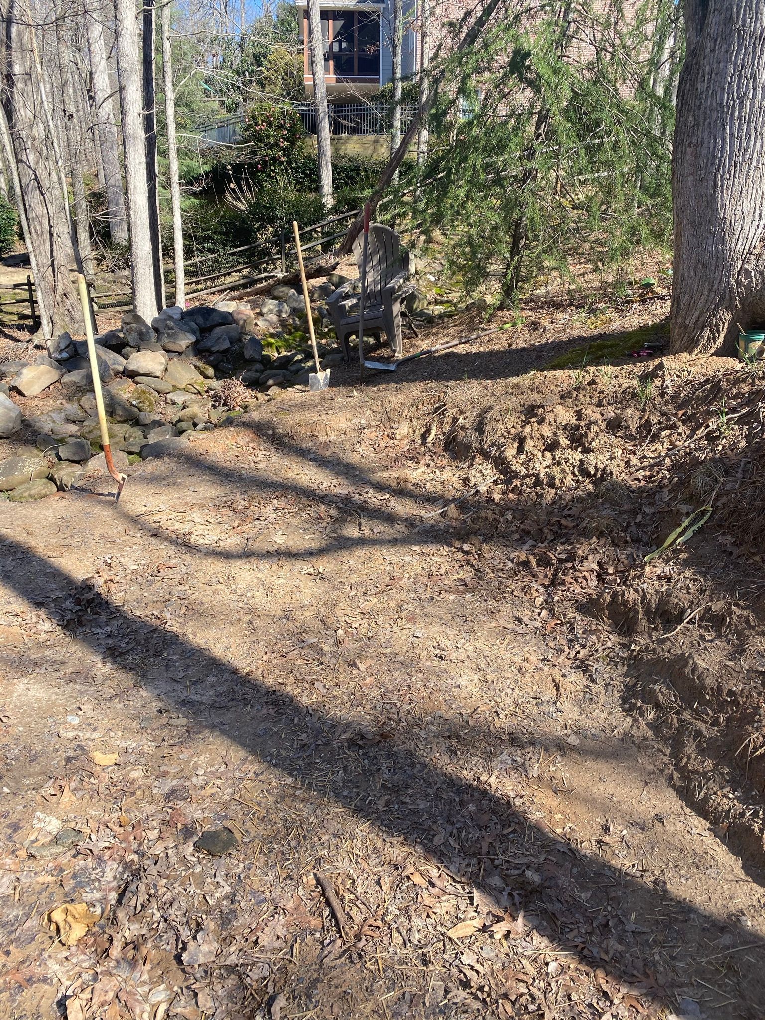 Tree Branch Shadow — Flowery Branch, GA — All About Irrigation and Landscape Services Inc