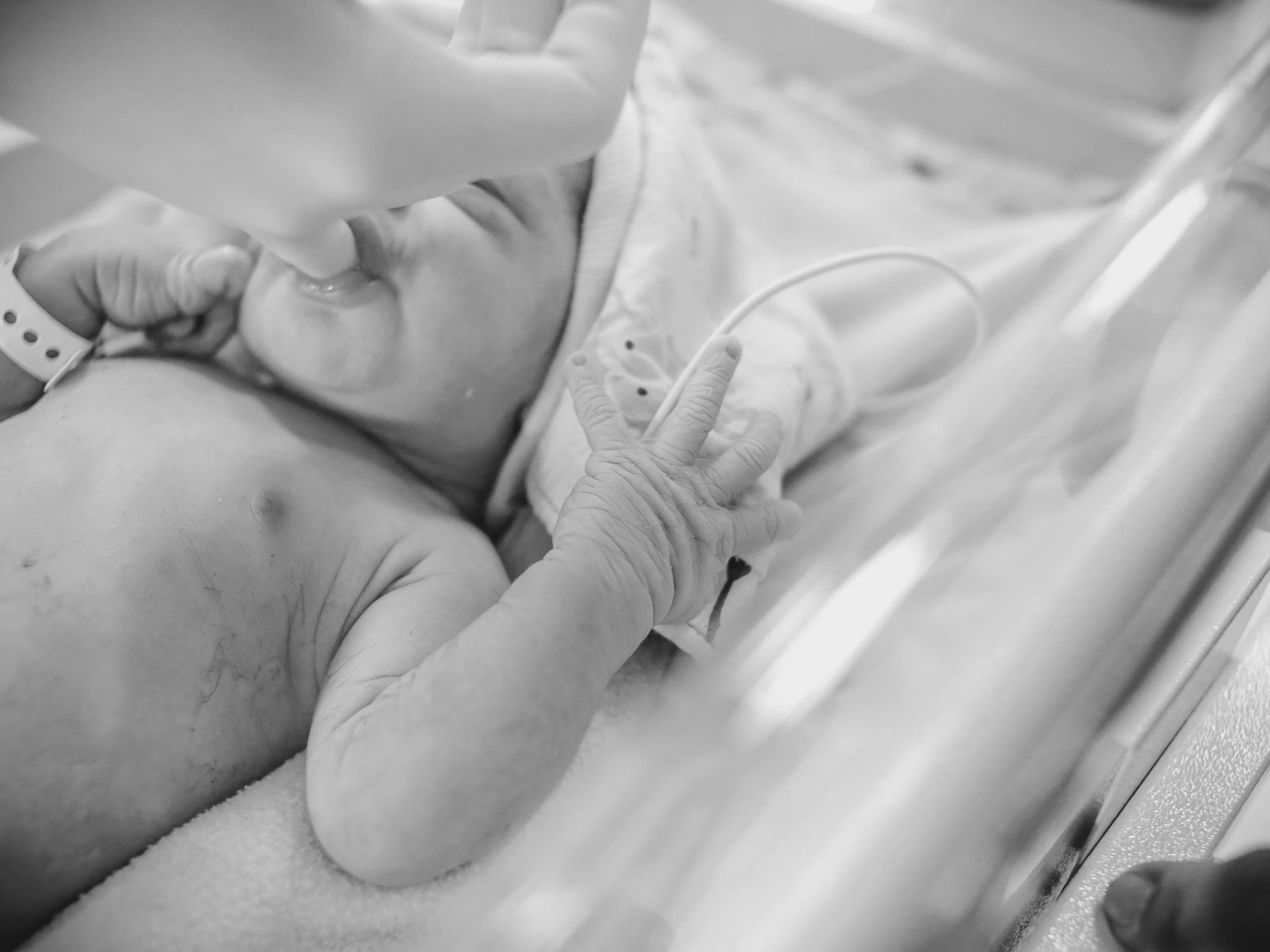Tampa, birth doula at St Joe's North