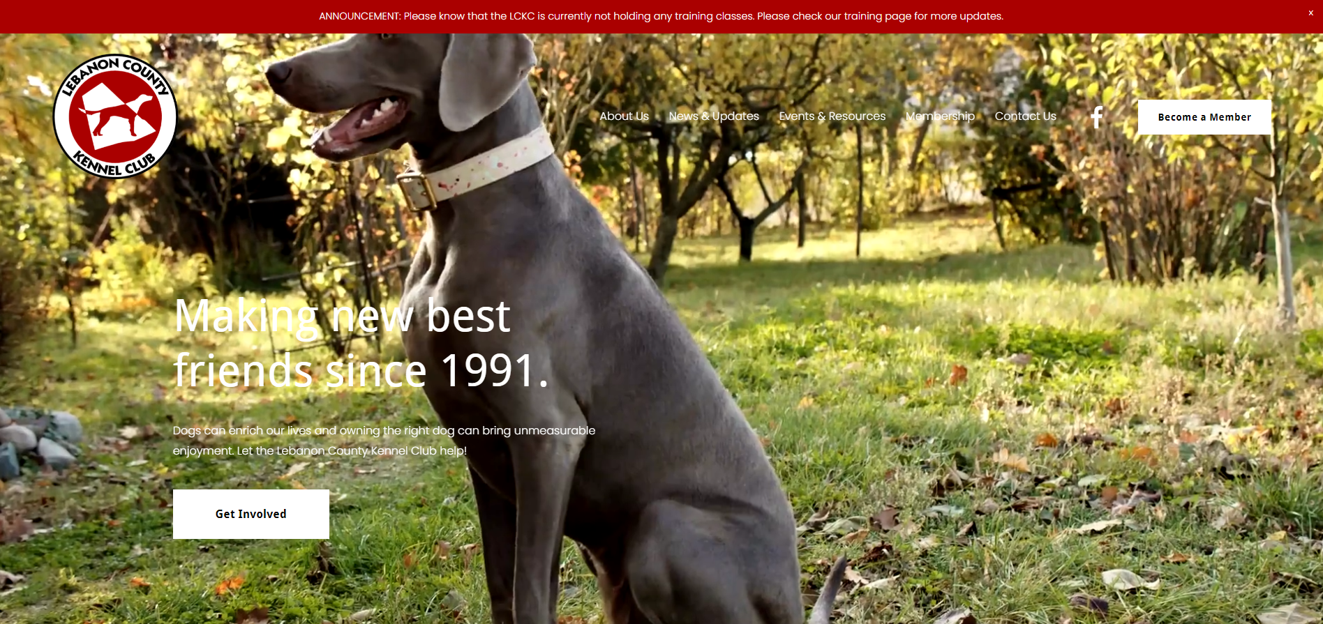 A Weimaraner dog sits in a grassy yard. The text reads,