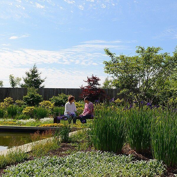 Two people sit on a bench in a lush garden near a pond on a sunny day.