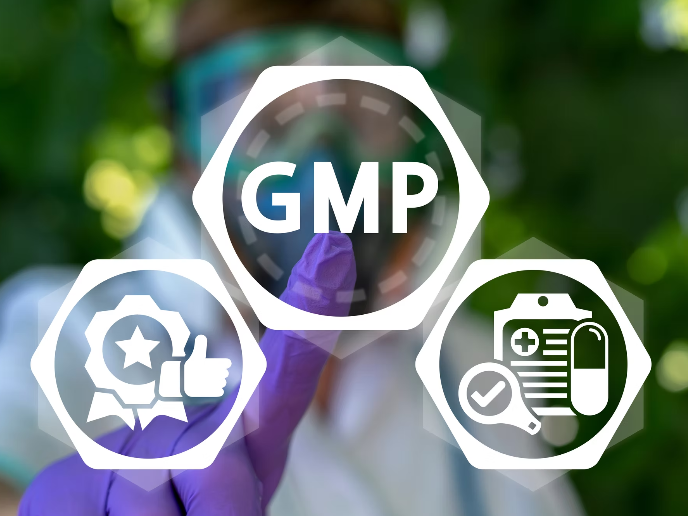GMP Certification Logo