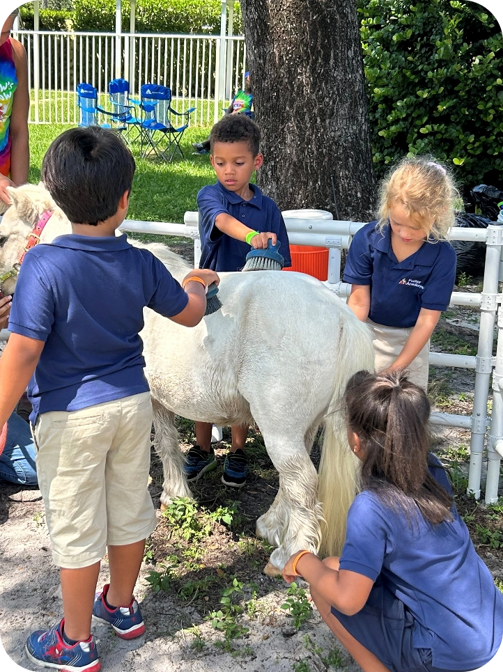 A group of children are standing around a white pony.