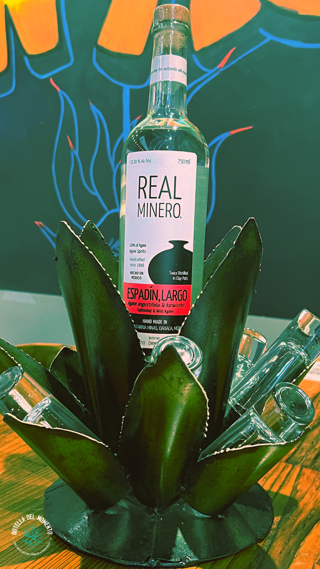 A bottle of tequila is sitting on top of an agave plant.