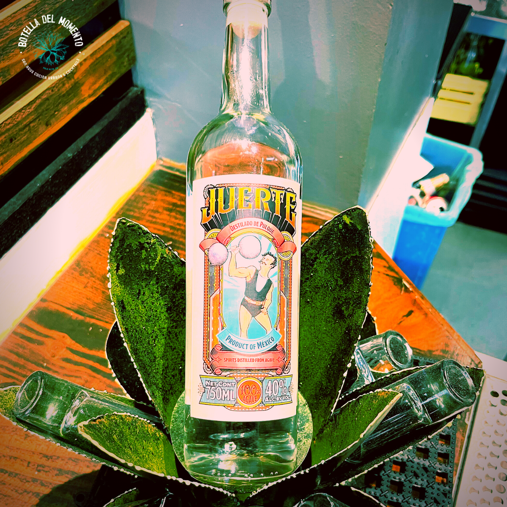 A bottle of muerte sits on top of a plant