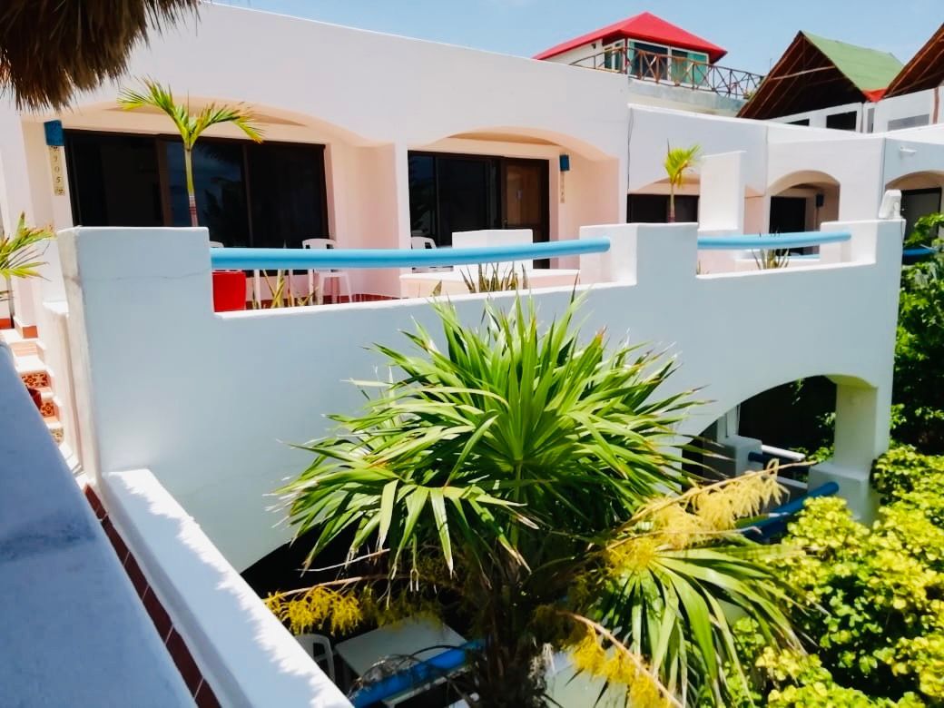 Un edificio blanco con palmeras delante.