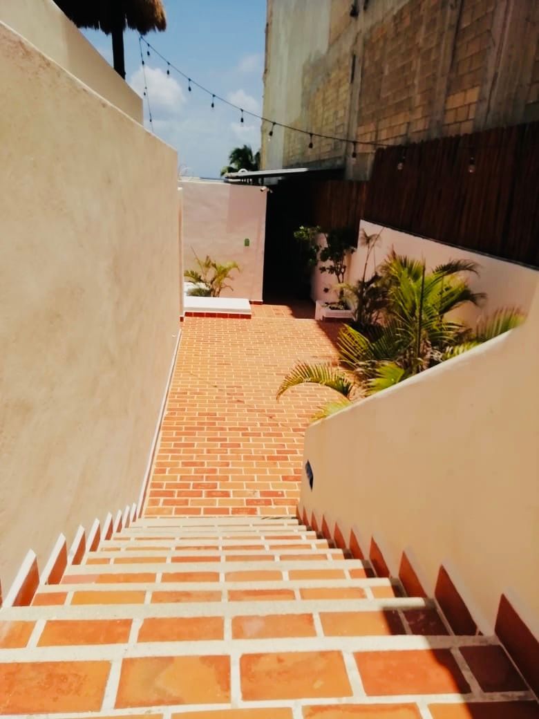 Un conjunto de escaleras que conducen a un edificio.