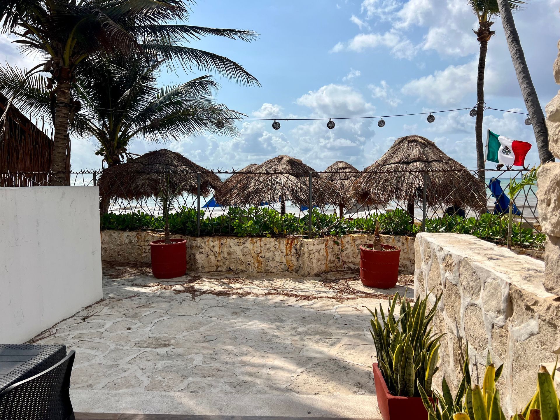 Un patio con mesa, sillas, plantas en macetas y sombrillas de paja.