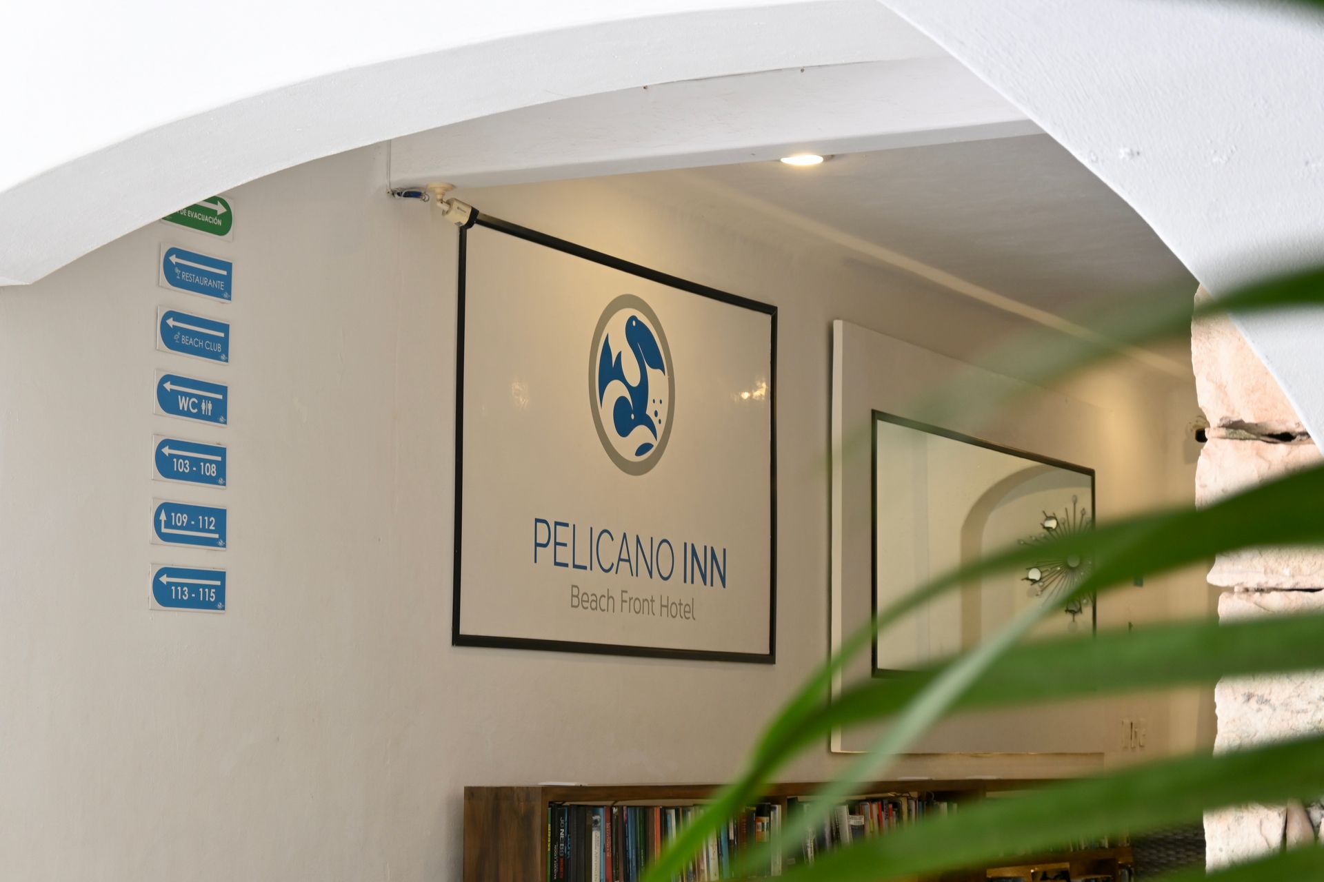 Cartel de “REJUVENECIMIENTO” con logo, montado sobre pared blanca con planta al frente.