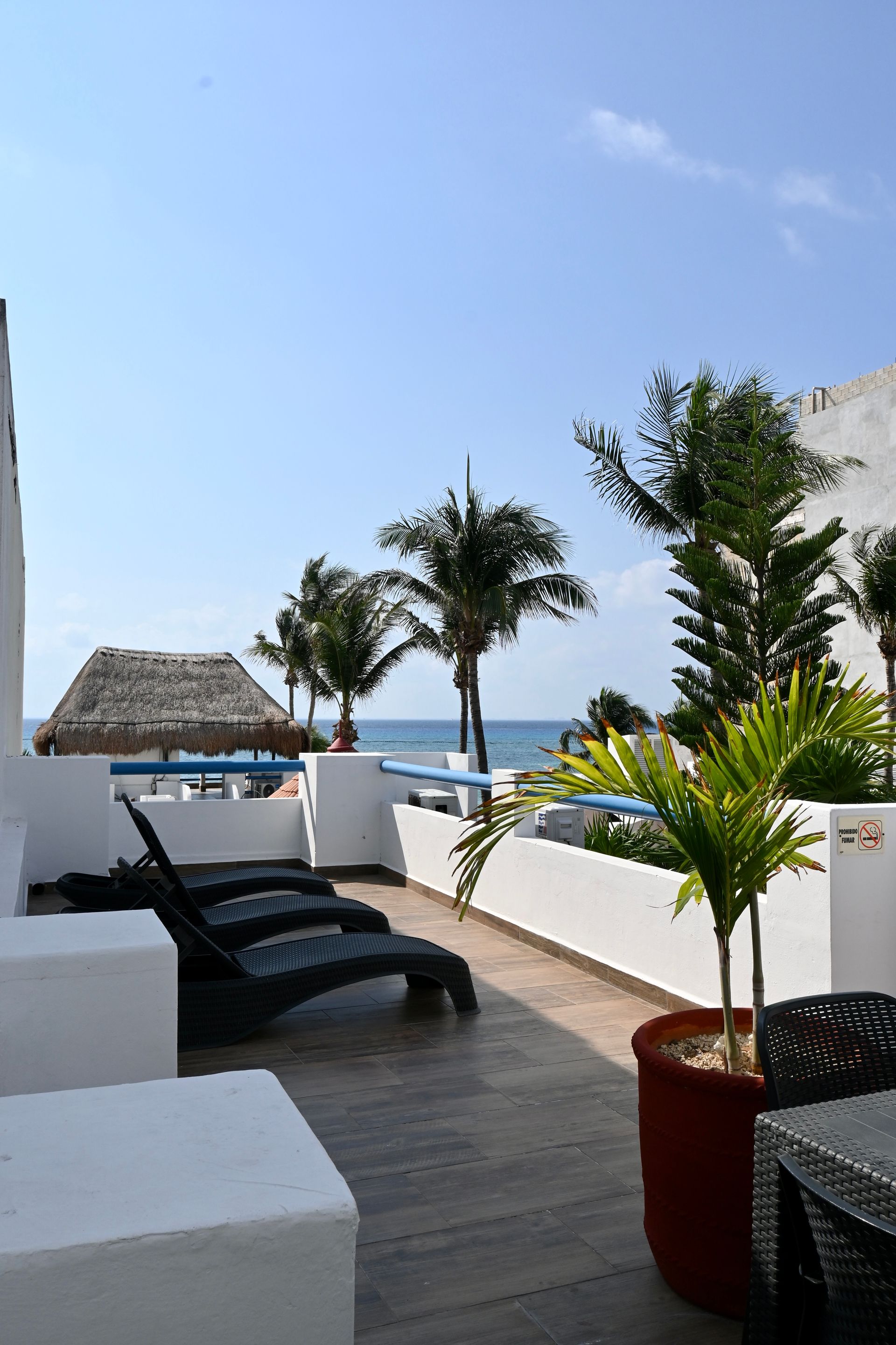 Un balcón con vista al mar y palmeras.