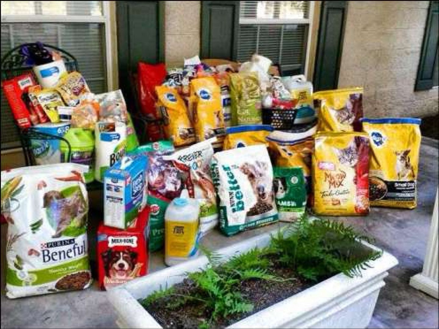 Assorted bags of pet food, stacked on a porch, near a planter.
