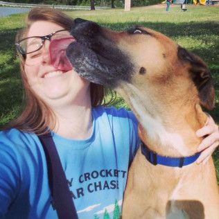 Woman smiles while dog licks her face outside. Woman wears glasses and blue shirt; dog is tan and brown.