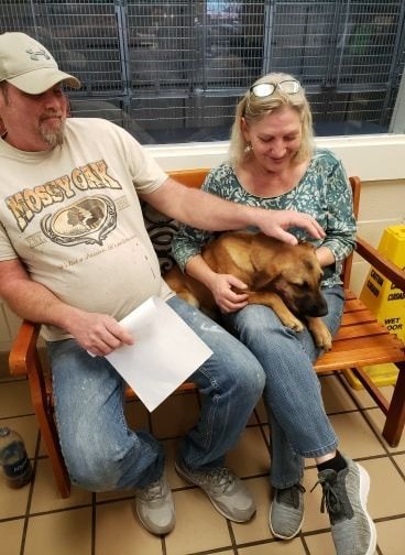 Couple petting a brown dog on a bench at an animal shelter. Man holds paper, woman smiles.