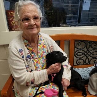 Elderly woman smiling, holding a black puppy, seated on a bench, with a cat in the background.