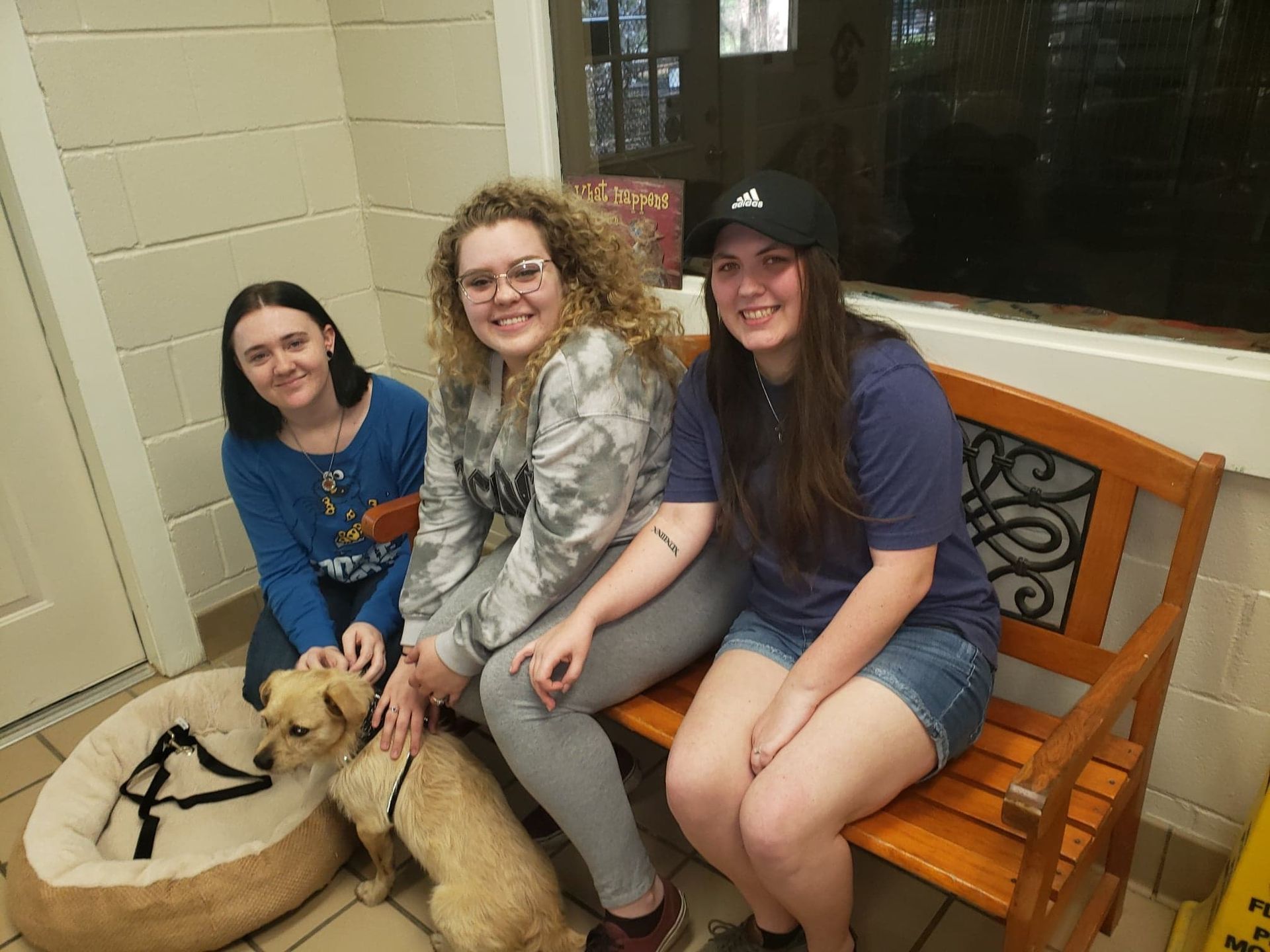 Three people sit on a bench with two dogs in an indoor space. They are smiling.
