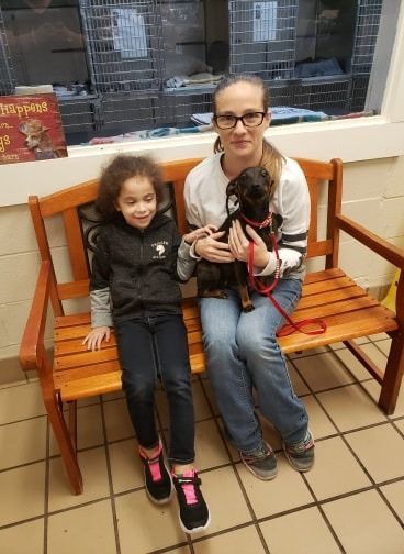 Woman and child sitting on a bench, holding a puppy at an animal shelter.