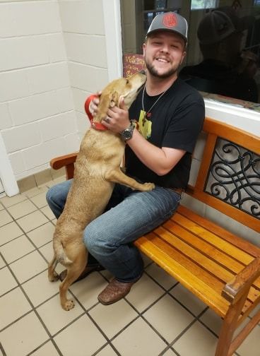 Man sits on bench, hugging tan dog with a red collar indoors. Dog has front paws on man's chest.
