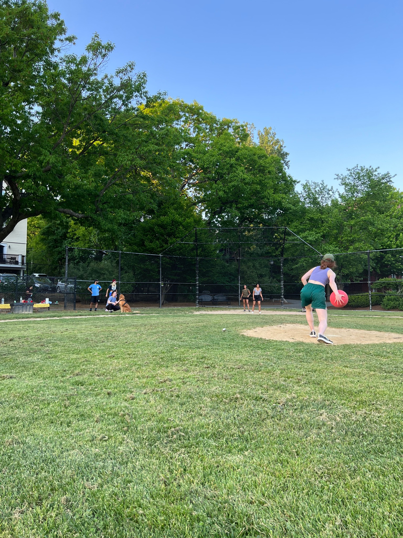 People playing kickball on a grassy field; sunny day, trees in background.