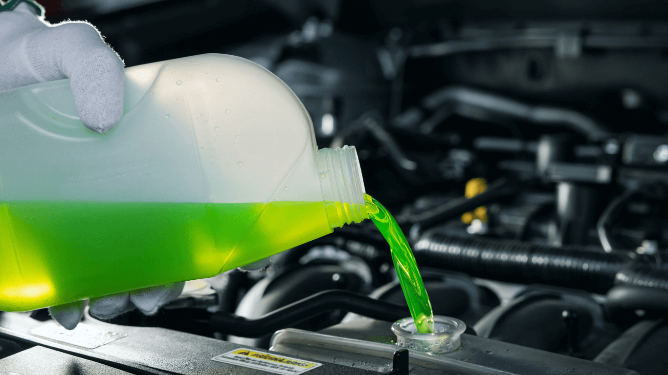 a mechanic adding radiator fluid