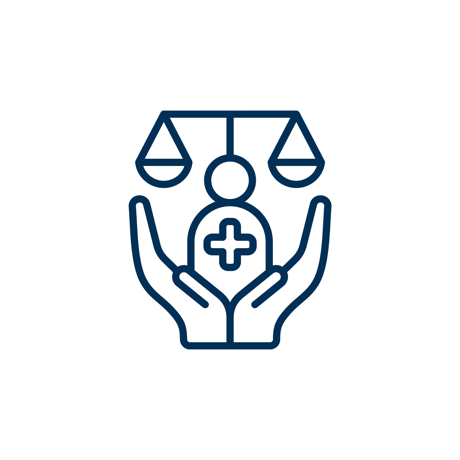 Personal Injury Law Icon