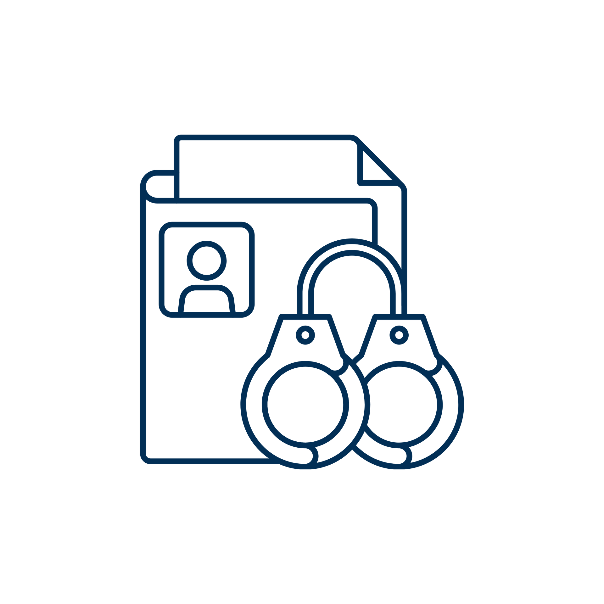 Criminal Record Expungement Icon