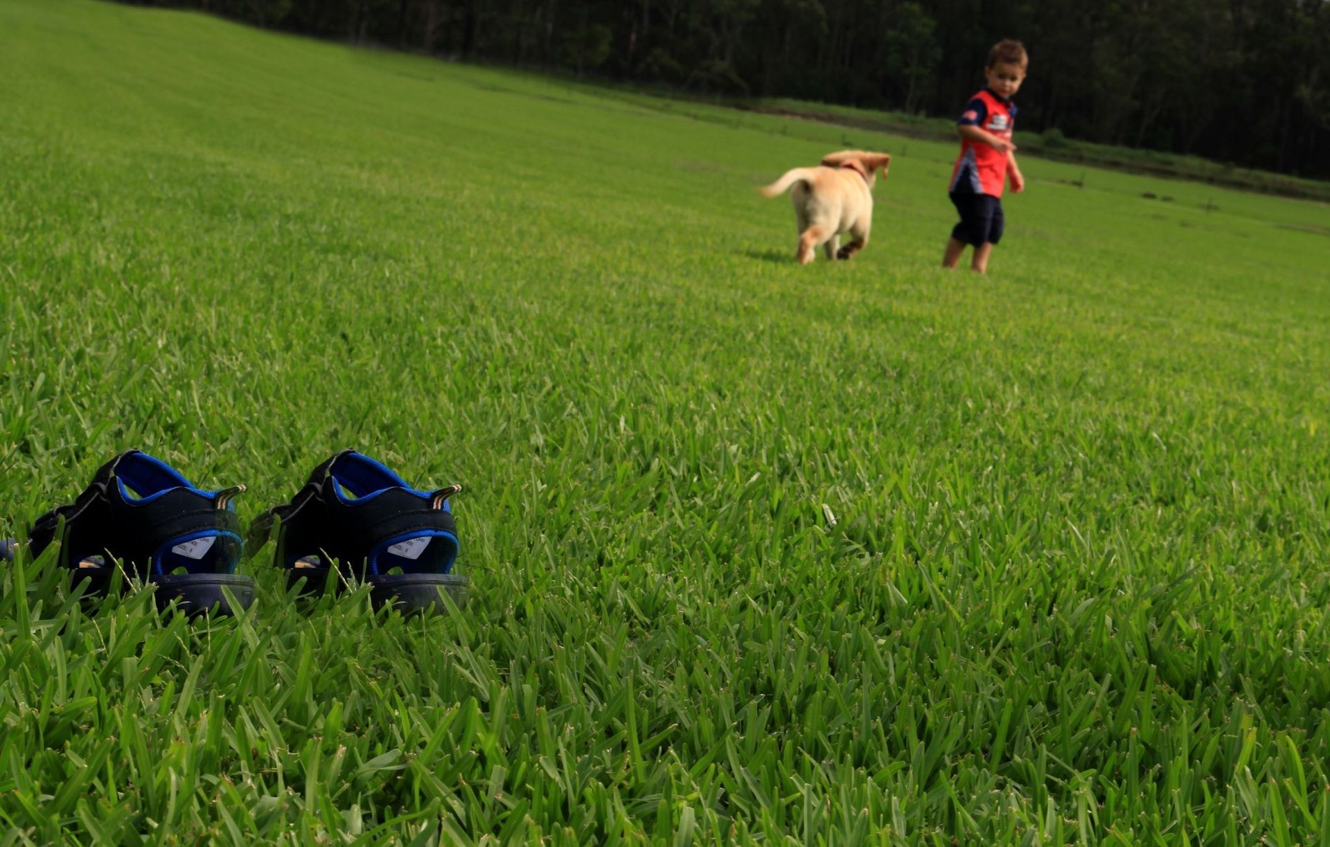 Footwear on Grass — Sydney NSW — Aussie Turf & Soil