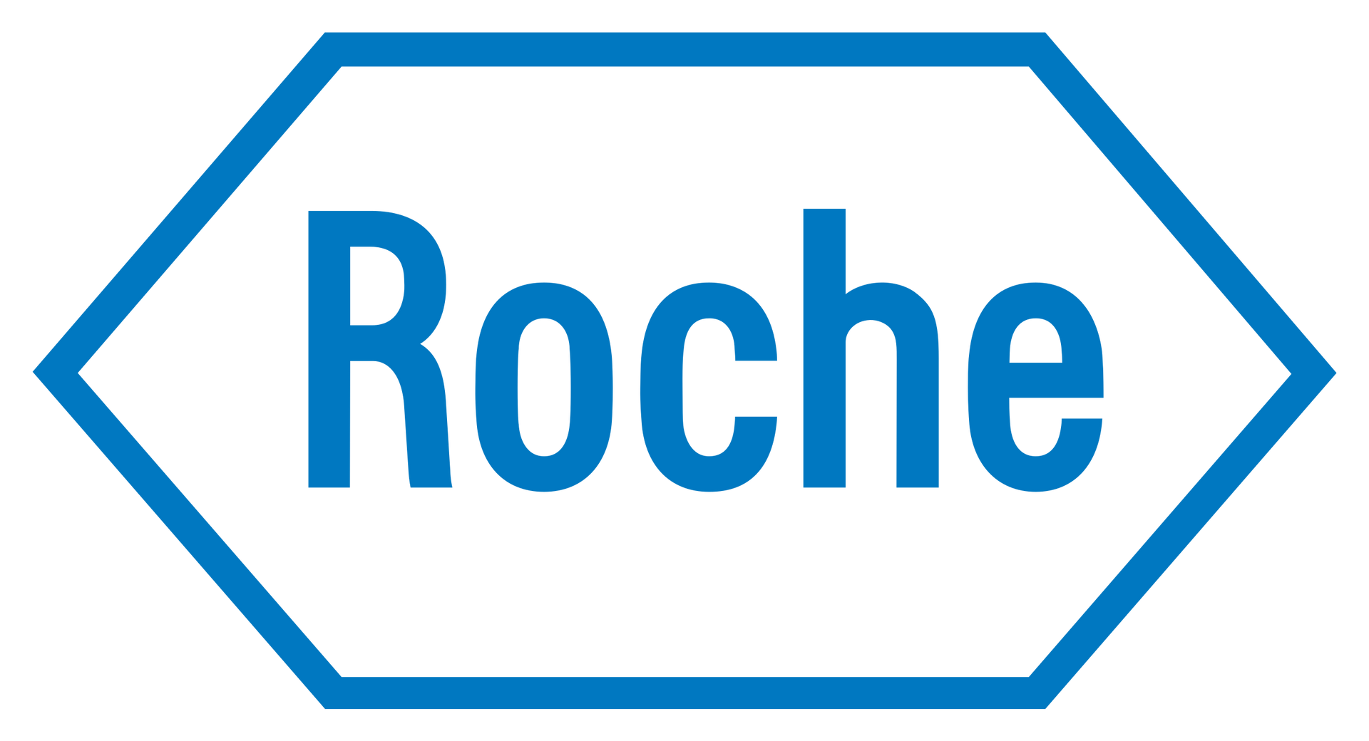 Roche logo in blue text inside a blue hexagon outline on white background
