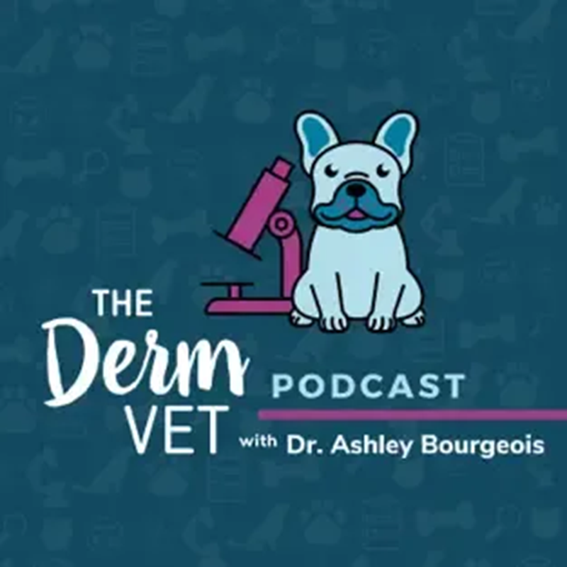 The logo for the derm podcast with dr. ashley bourgeois