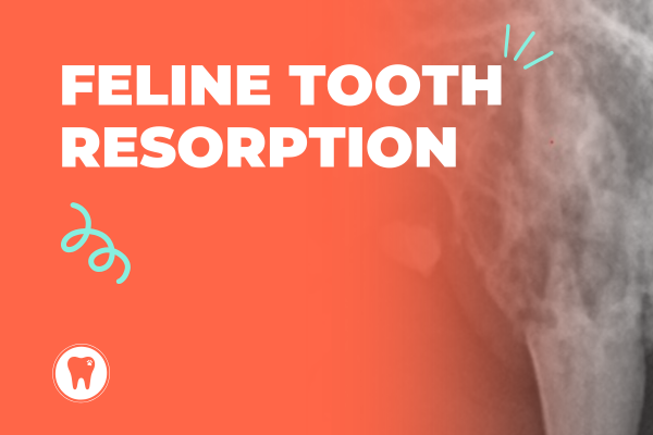 A german shepherd is brushing its teeth with a toothbrush