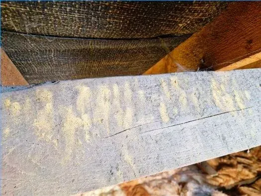 Close-up of a weathered wooden beam with white paint streaks under a dark roof edge.